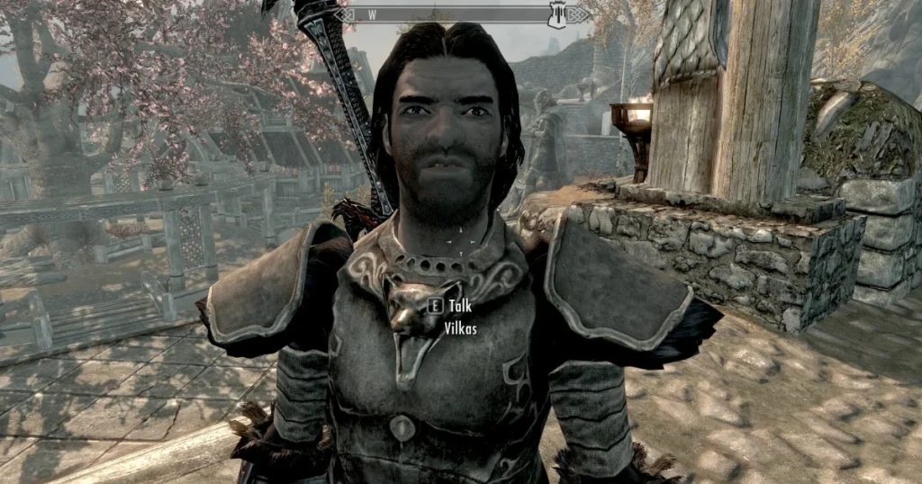 Vilkas – The Swordmaster